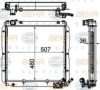 TATA 252750100363 Radiator, engine cooling